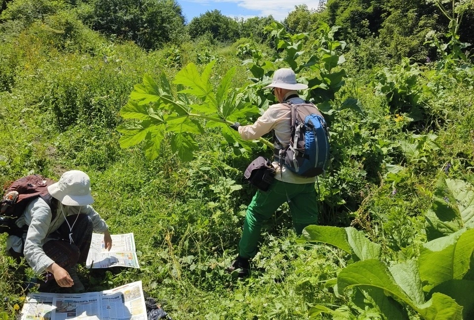 🌿 Студенты-биологи МГУ прошли полевую практику на базе КБГУ

В Кабардино-Балкарском государственном