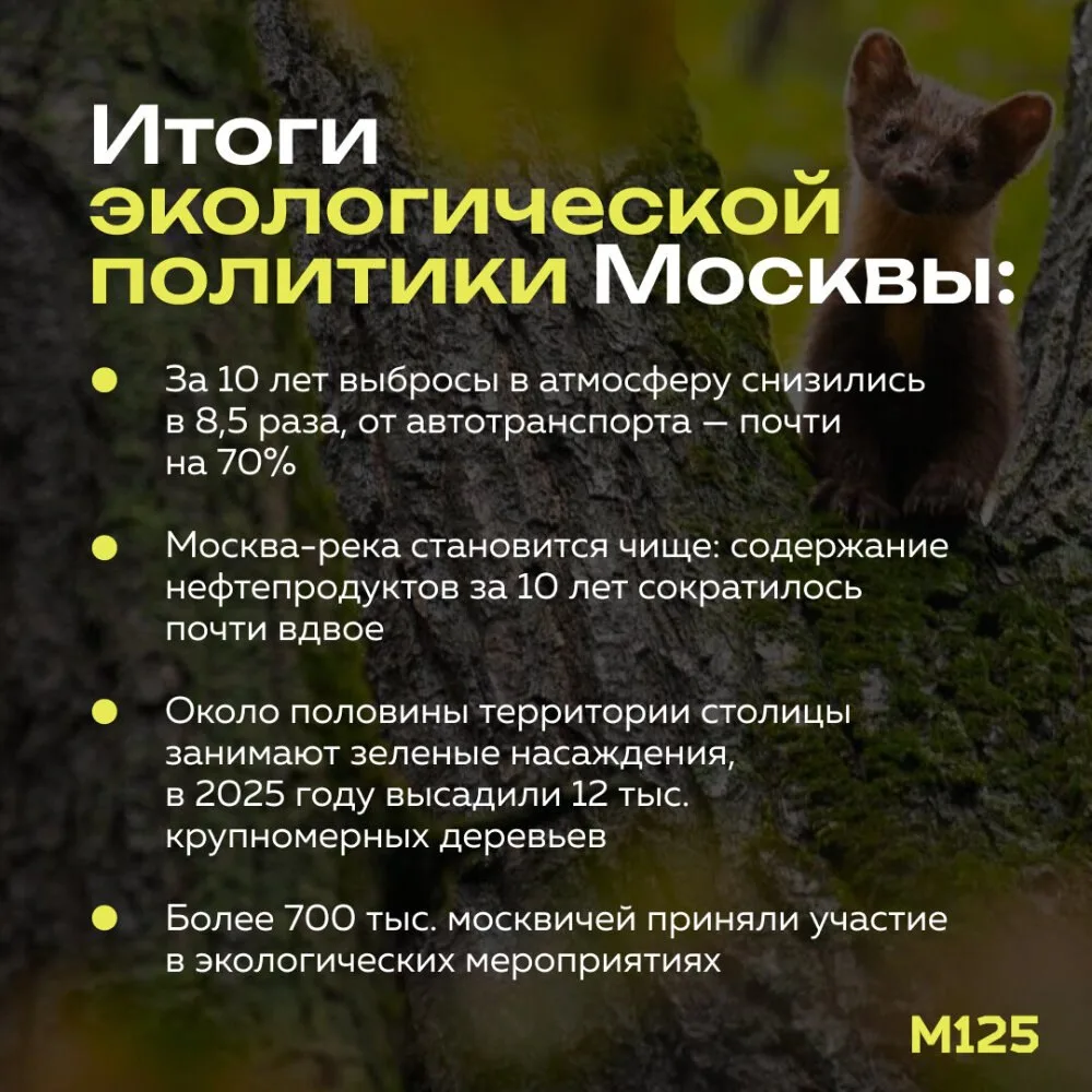 Москва продолжает развиваться, сохраняя комфортную и экологичную городскую среду.
