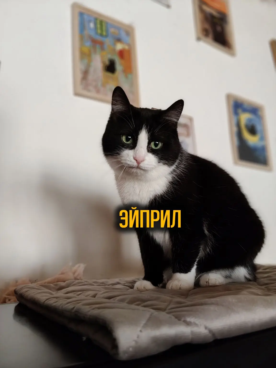 Эйприл🧡