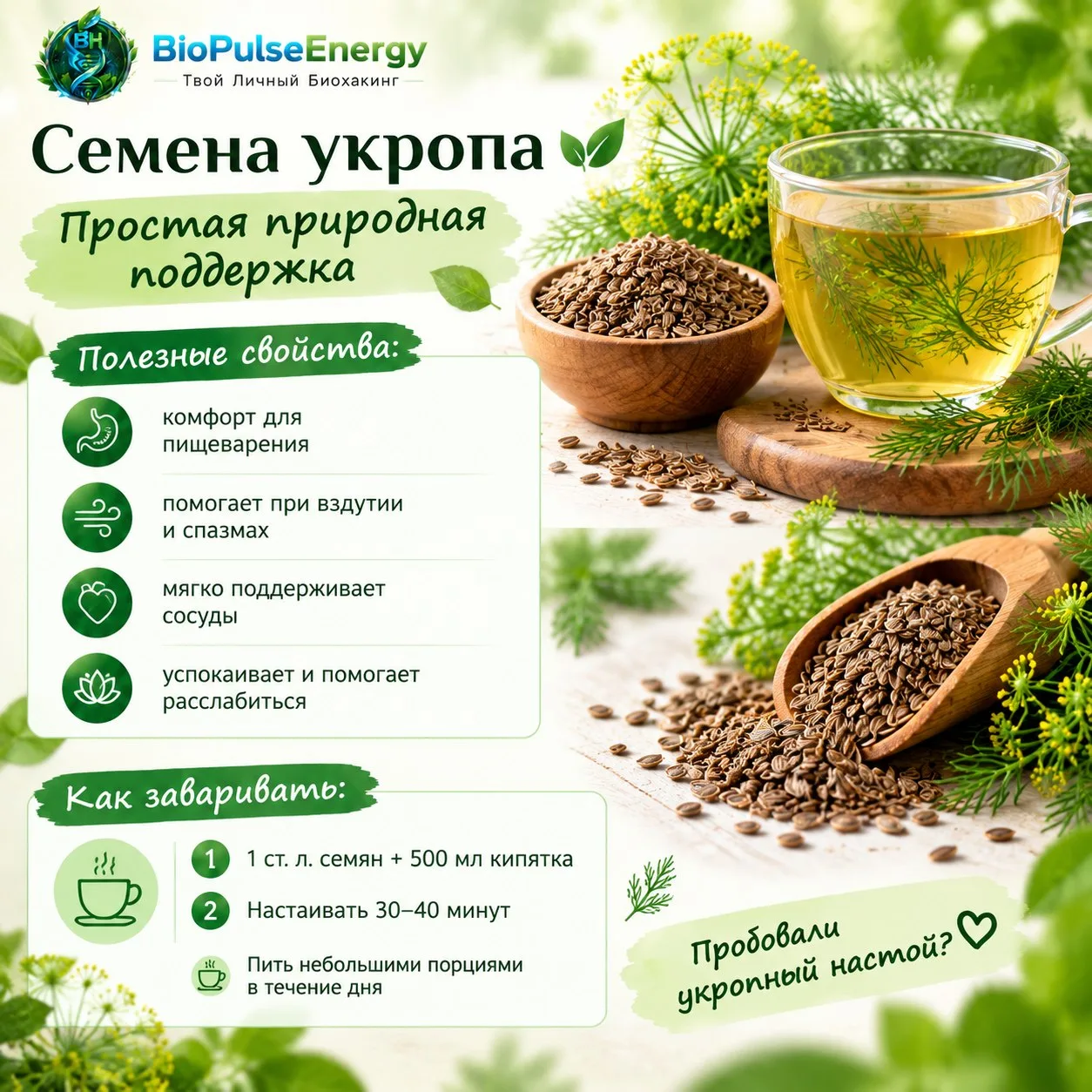 Семена укропа — простое и проверенное временем растительное средство, которое ценится з...