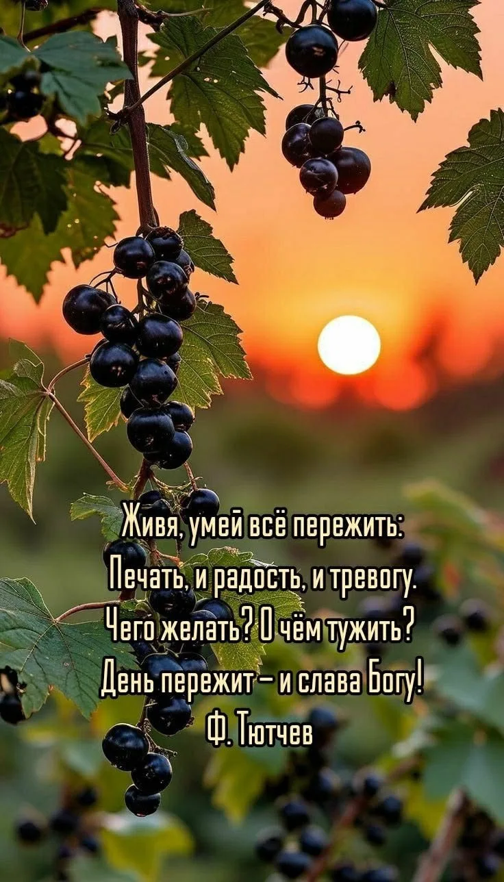 🥰 Оставляйте реакции, если понравилась открытка и делитесь с близкими ❤️