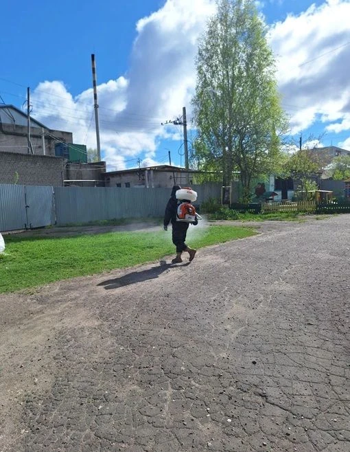 Антиклещевая обработка территории детского сада: забота о безопасности  воспитанников!