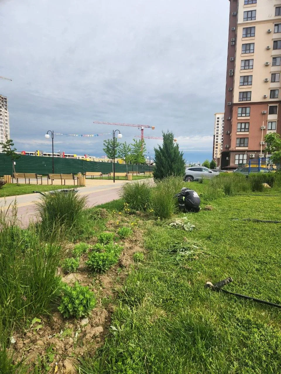 💚 Двор— наш общий зелёный дом 💚

Посмотрите, как красиво зеленеют газоны и радуют глаз ухоженные к