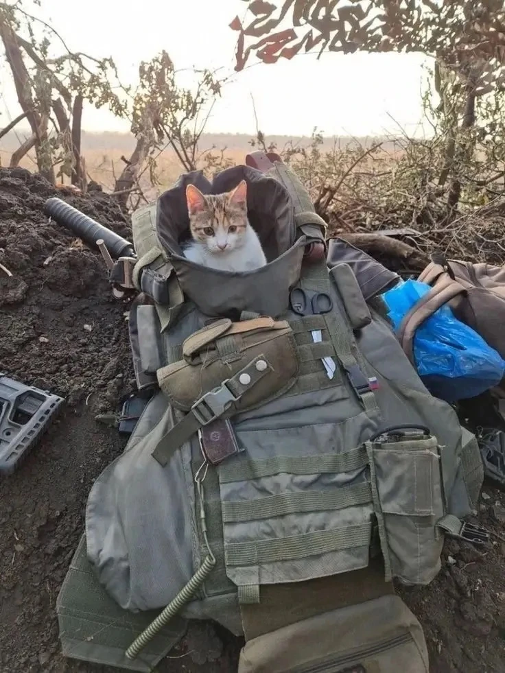 Приветствуем наших подписчиков!🤍