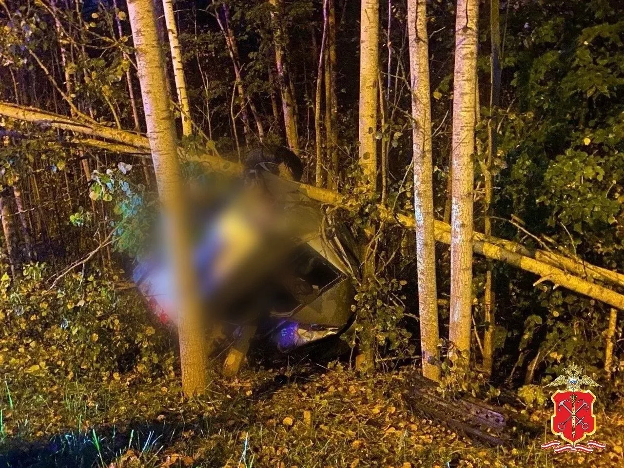 В Кировском районе Ленинградской области водитель LADA Priora погиб в ДТП