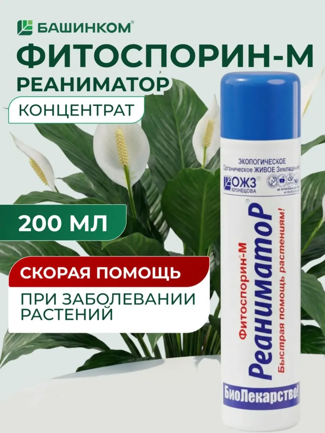 Я этого не знала, а вы?

Наверняка все дачники знакомы с препаратом Фитоспорин и регулярно применяют
