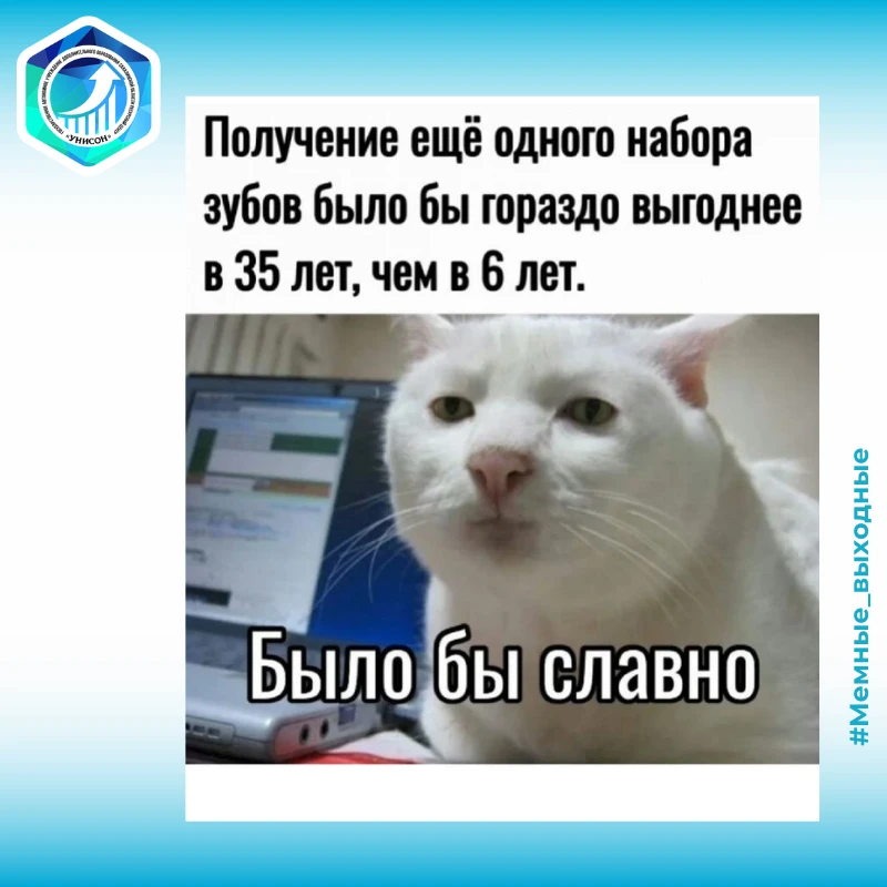 🌚 Делитесь вашими любимыми мемами, смешными картинками и видео в комментариях!
🌝 Самые интересные 
