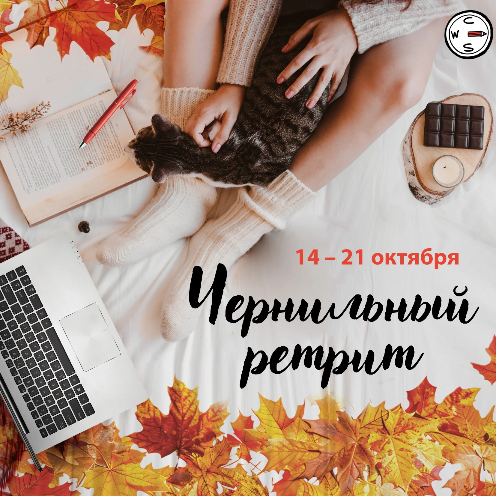 Бесплатные курсы октября — то, что будет нас согревать долгими и уже темными вечерами