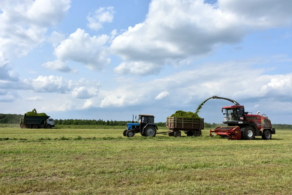 🚜 🌱 Рязанские аграрии заготавливают корма для животных

Сельхозпредприятия и фермерские хозяйства 