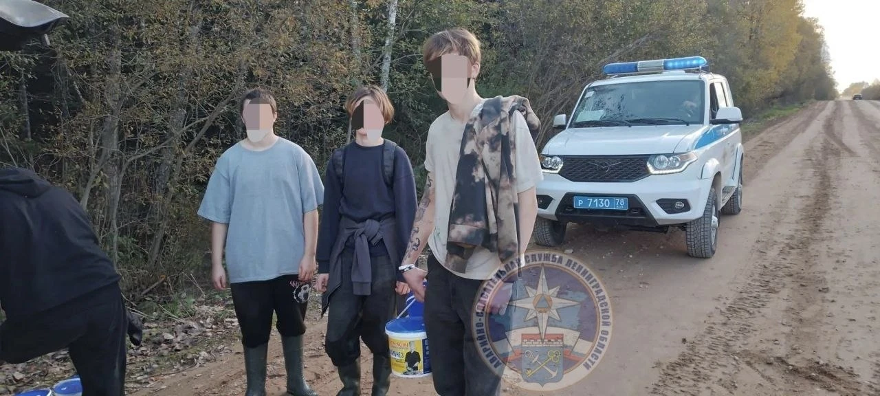 В Киришском районе спасатели нашли трёх заблудившихся подростков