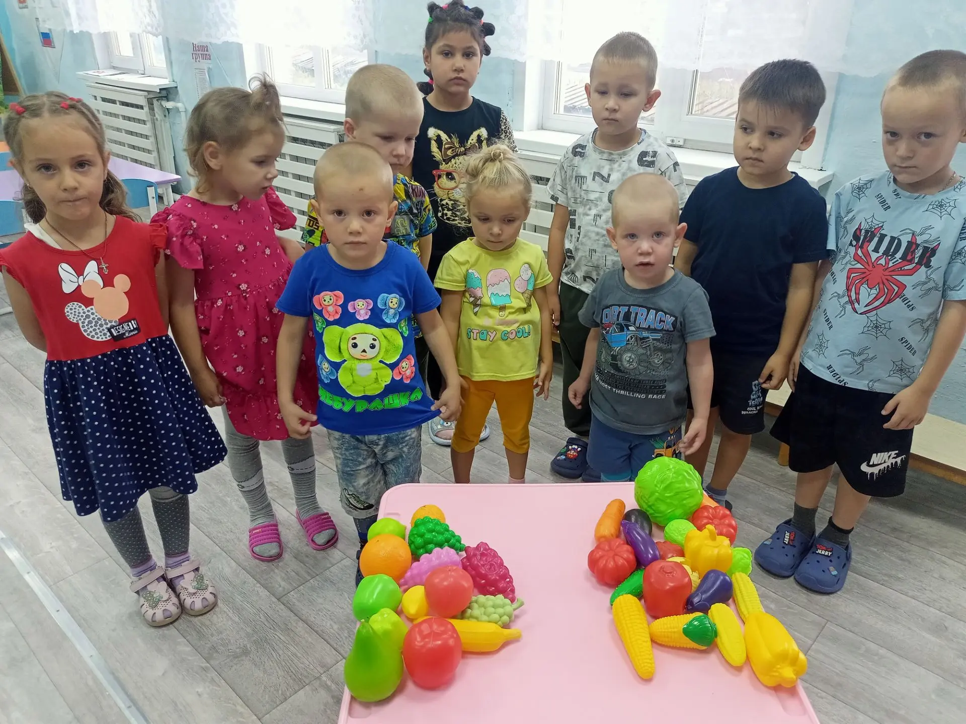 НОД по ознакомлению с окружающим миром в разновозрастной группе:" Овощи и фрукты - поле...