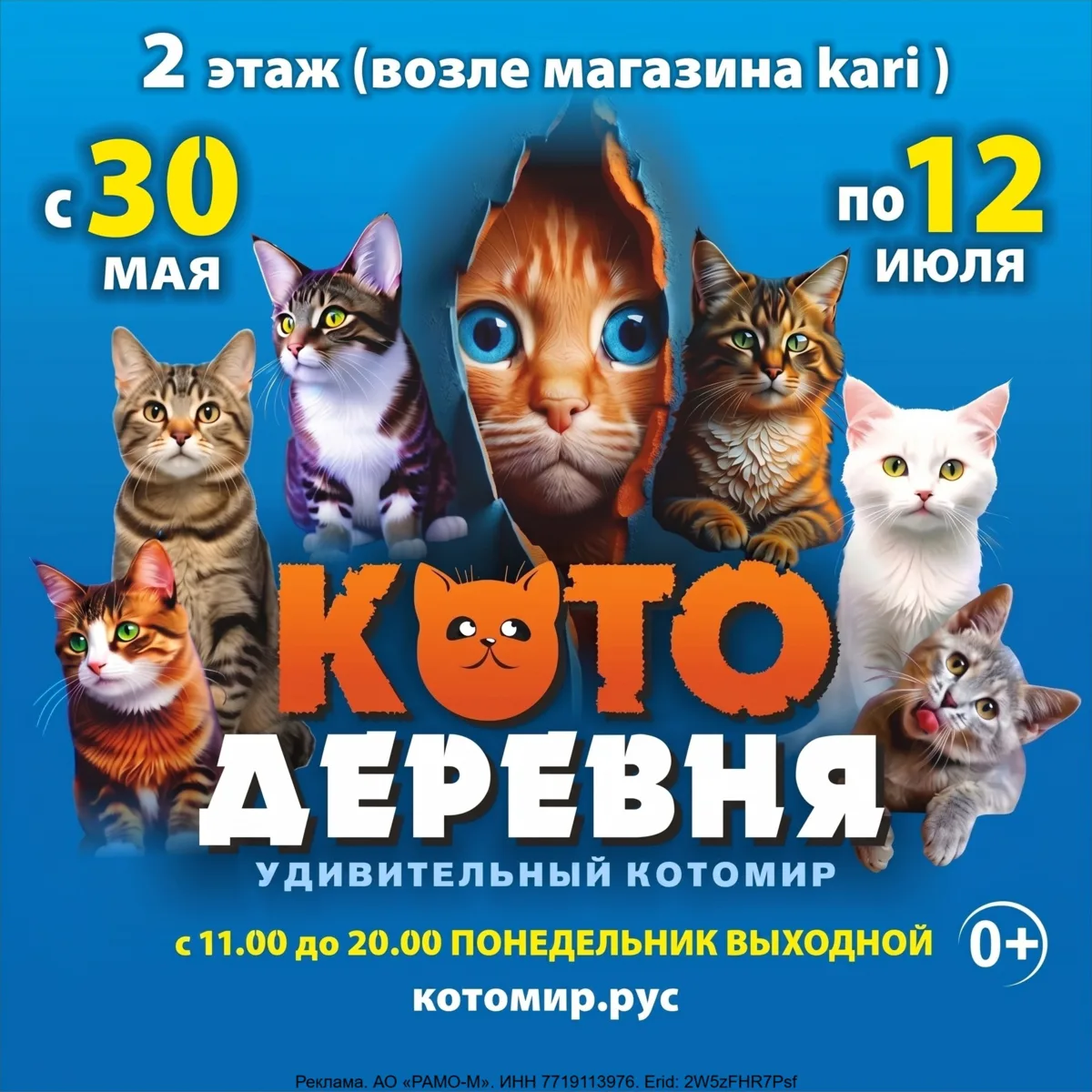 Erid: 2W5zFHR7Psf