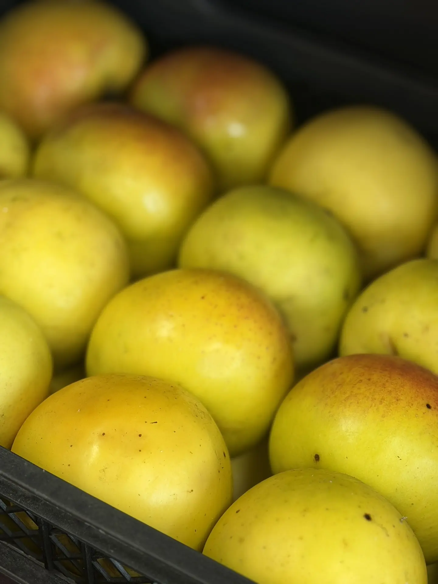 🔥 В МАГАЗИНАХ «ПЕРВЫЙ ЯГОДНЫЙ» ПОСТУПЛЕНИЕ ЯБЛОК ИЗ КИРГИЗИИ 🍎   В наличии сорта: — Ранет 🍏  — Крипс