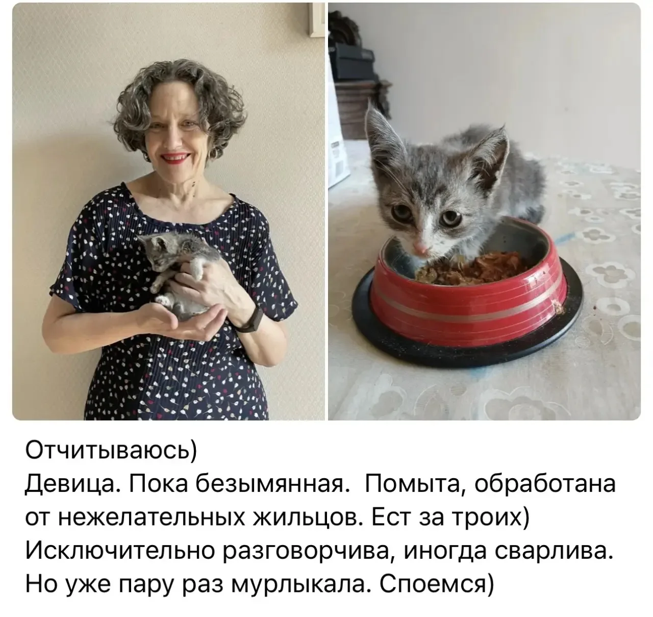 Счастливый финал истории нашего котенка!