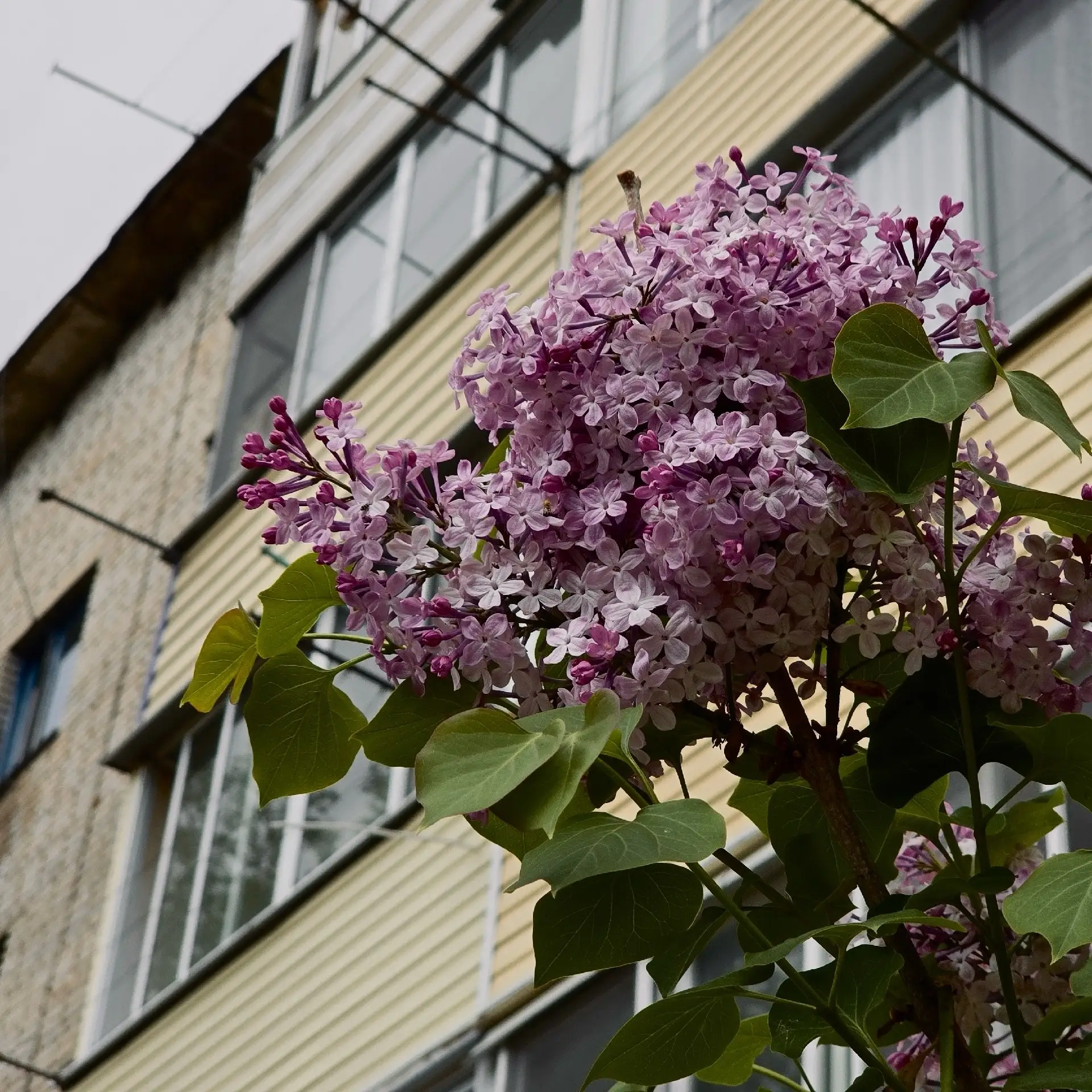 Рабочая неделя завершилась, впереди — заслуженные выходные  🌸 Время воплотить в жизнь то, на что не 