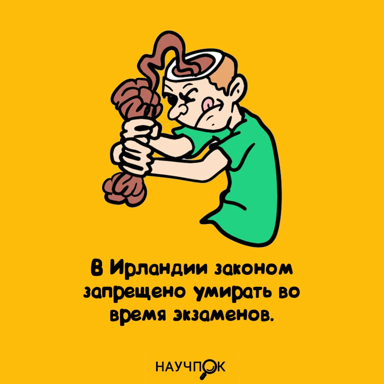 Научпок | Подписаться