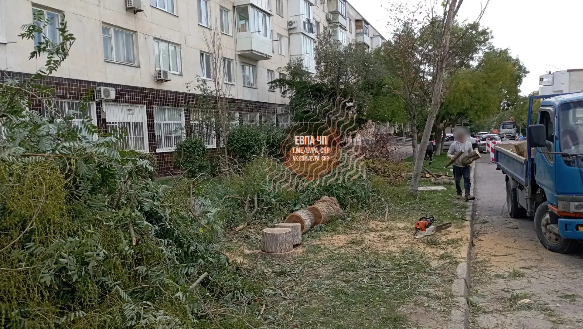 На улице Некрасова возле шестой школы, вырубают зелёные деревья.