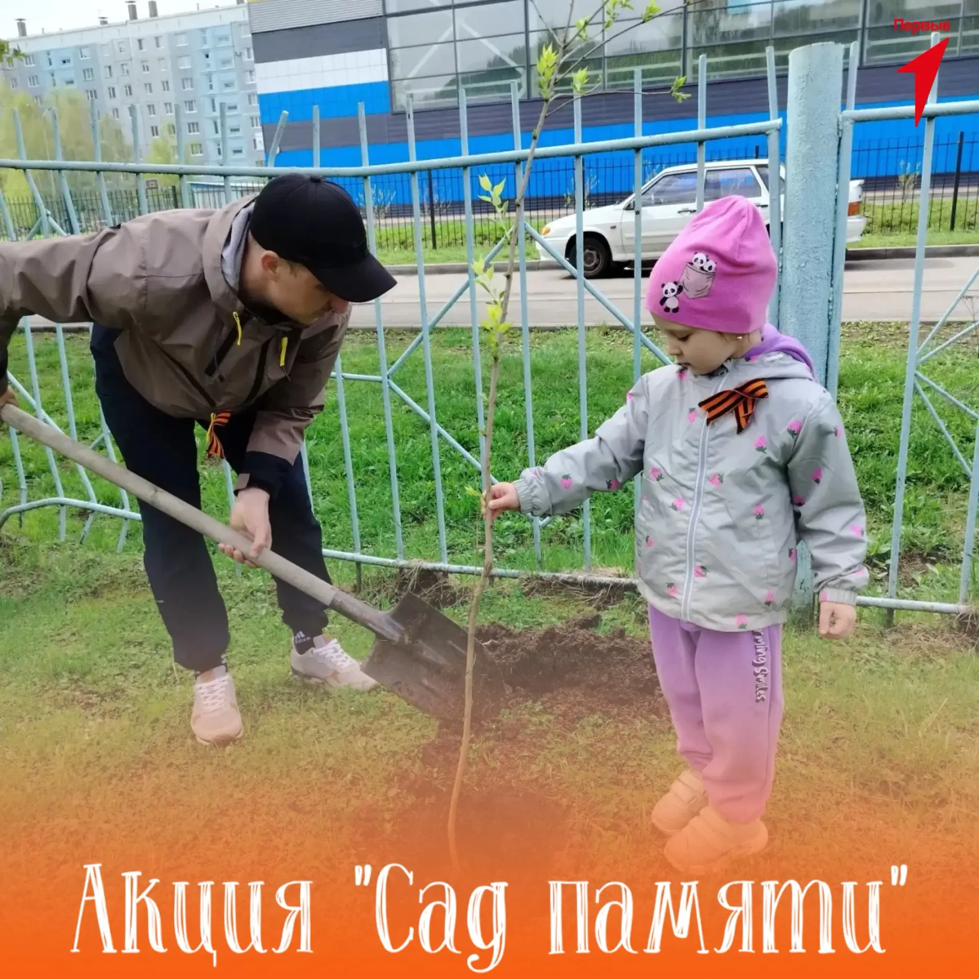 🌳 «Сад Памяти» зацвел в нашем детском саду! 🌳