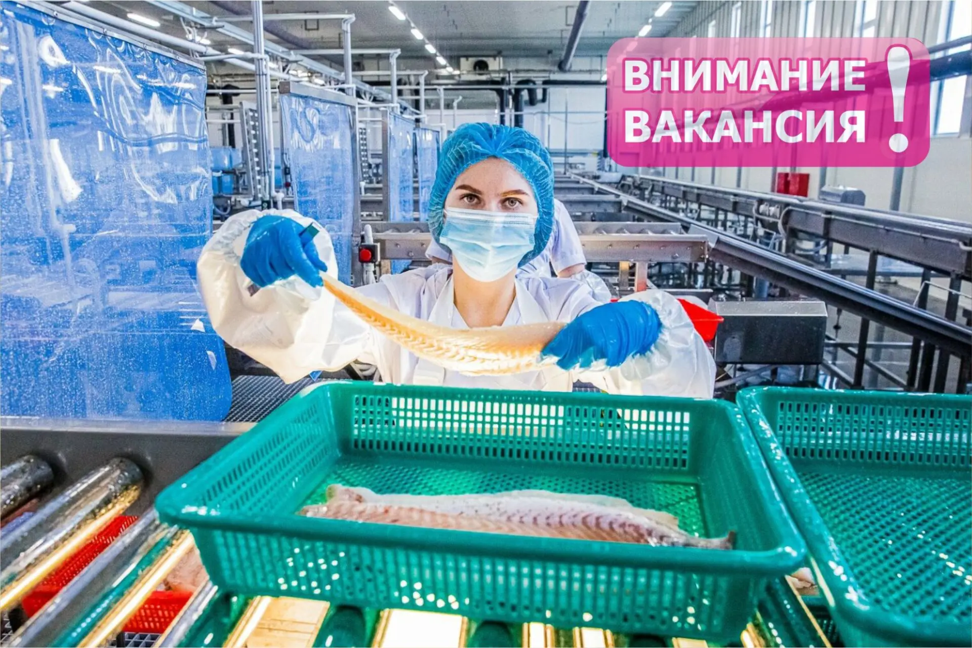 на пищевое производство (р-н завода «Сельмаш») требуются: