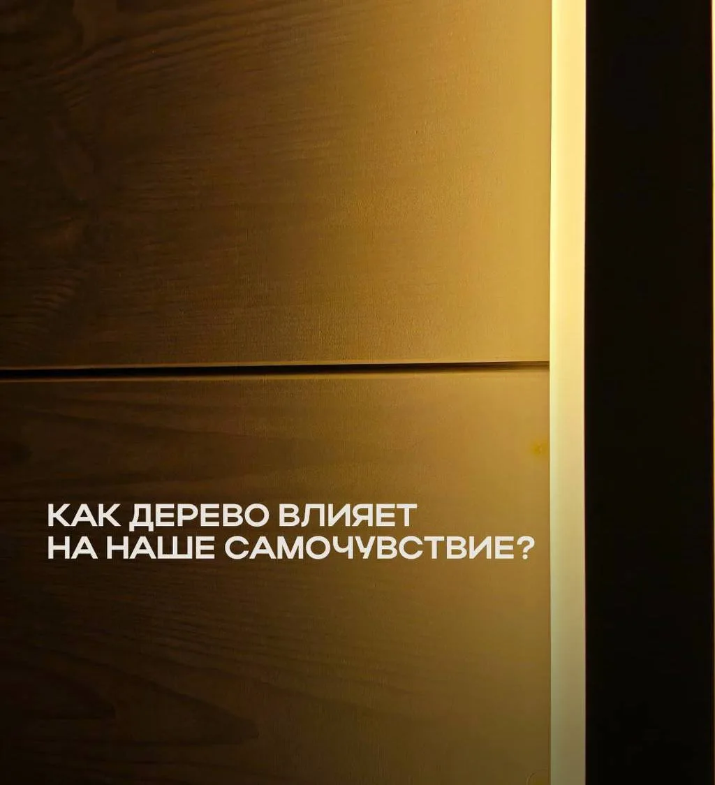 Как дерево влияет на наше самочувствие?