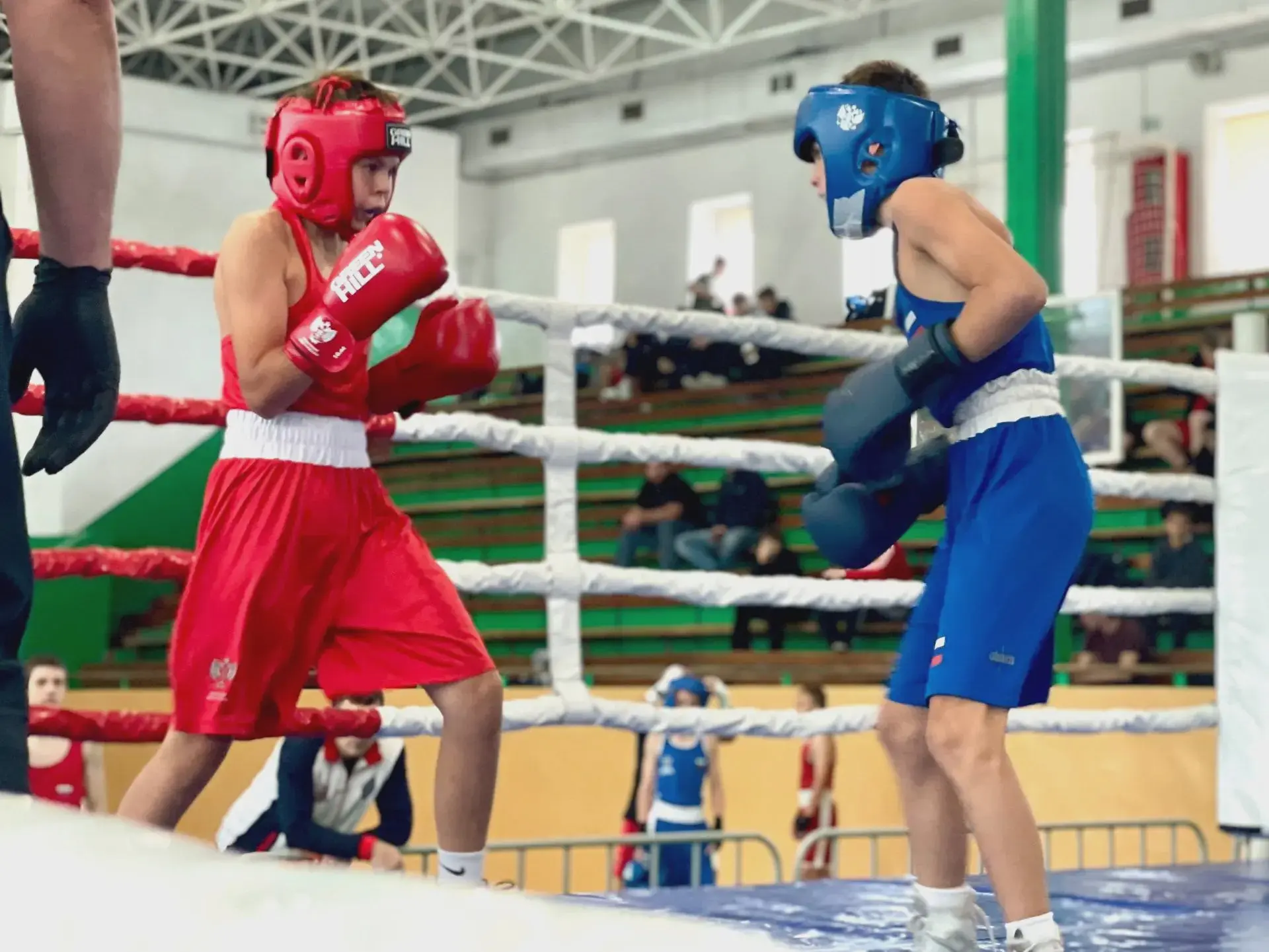 🥊 В Ейске открылся турнир по боксу памяти Ейкина