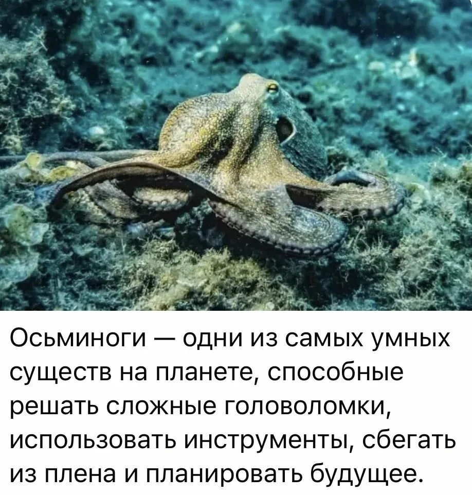 Факты, которые меняют взгляд на мир, расширяем горизонты