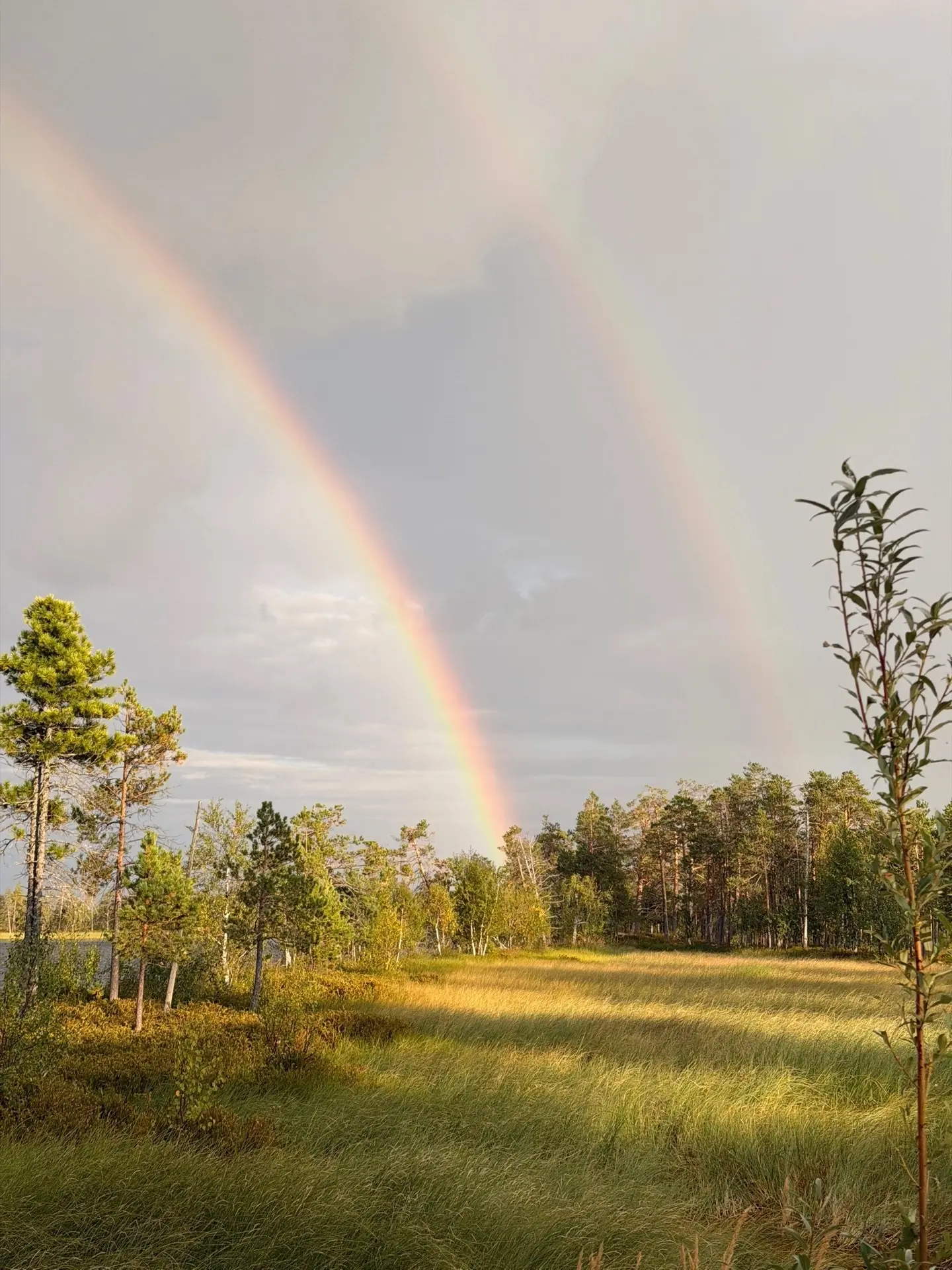 ☀️Самое время насладиться теплыми деньками