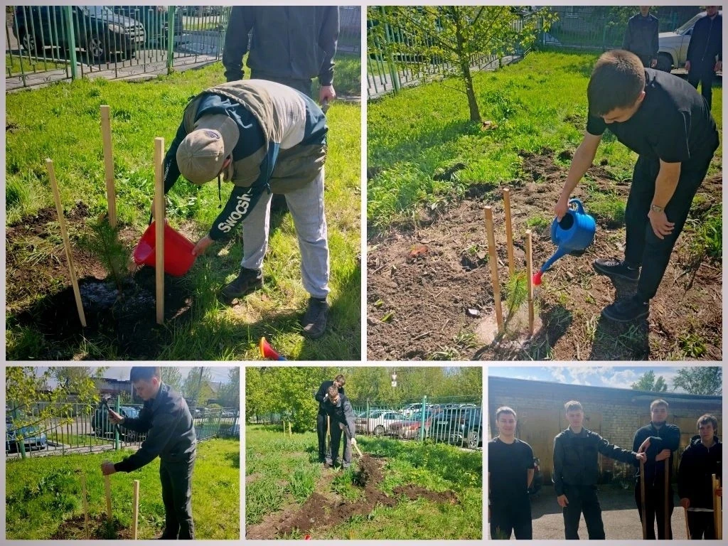 🌿 Аллея выпускников: студенты ТМТТ оставили свой след в Томске! 🌿