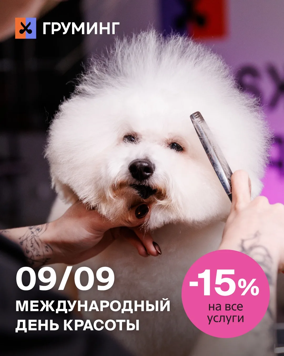 День красоты в Салонах Груминга Четыре Лапы ✂️