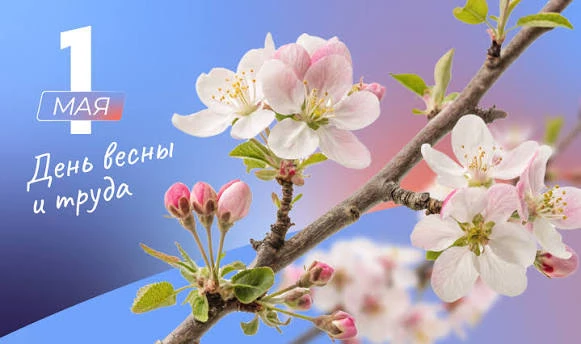 С Первомаем, дорогие друзья! 🌷