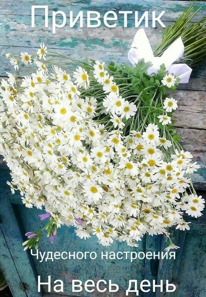 ...и море ромашек в ваш день!.. 
🙌☀🤗💝
