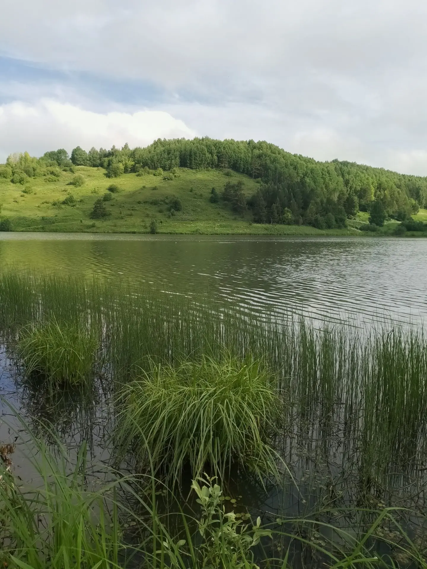 Доброго вам понедельника ☀️

Сегодня в Осе:
днем до +22, ночью +16, переменная облачность, ожидаются