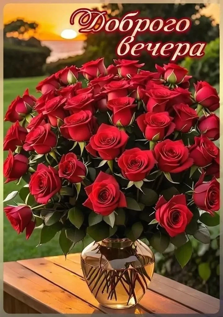 🍷  Доброго вечера!