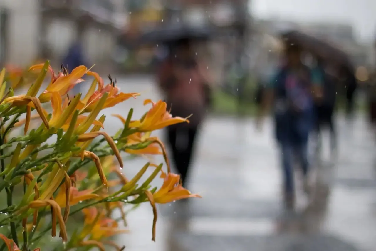 Доброе утро, Иркутск☔️