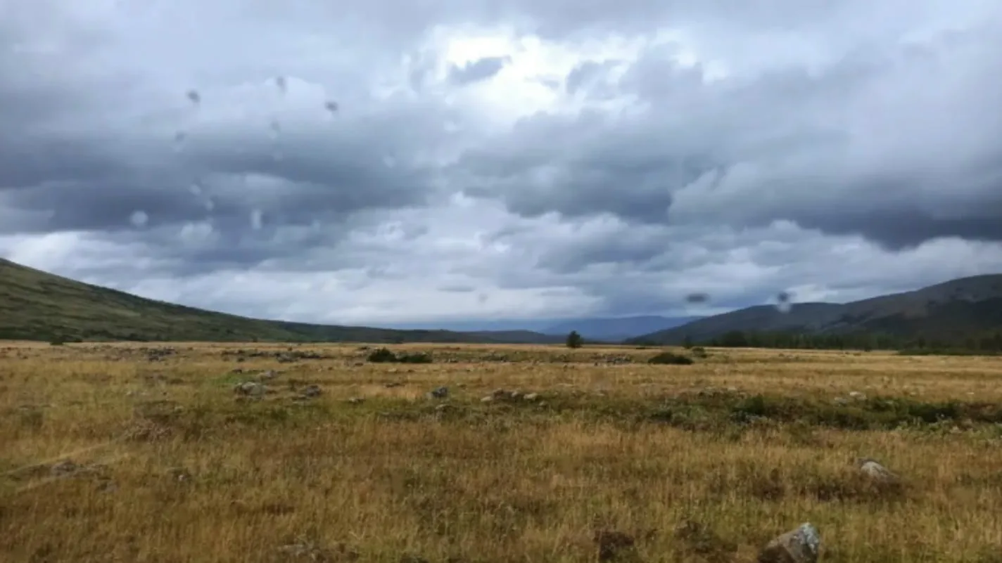 Доброе утро, ЯНАО️🌄