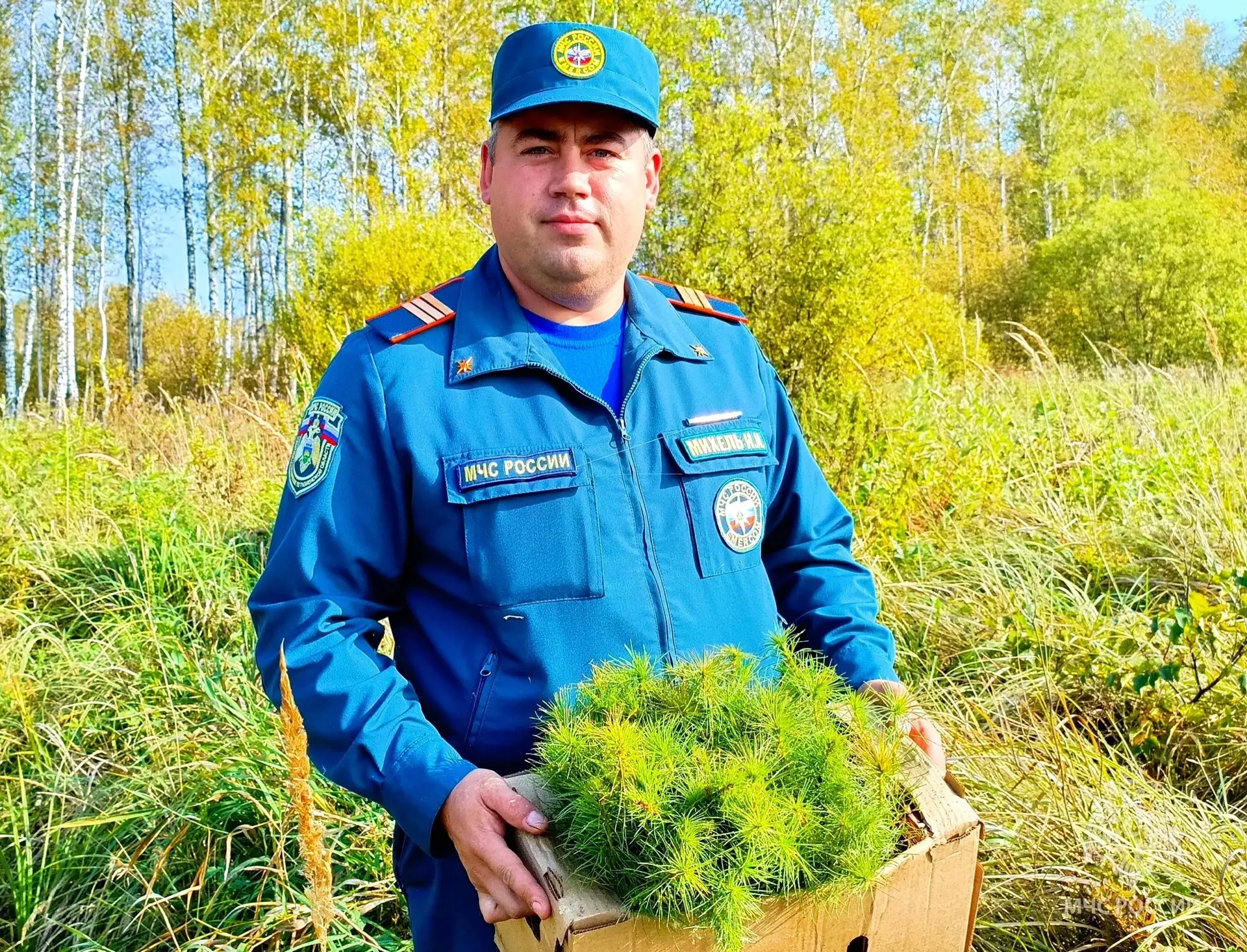 💫 От спасения до озеленения