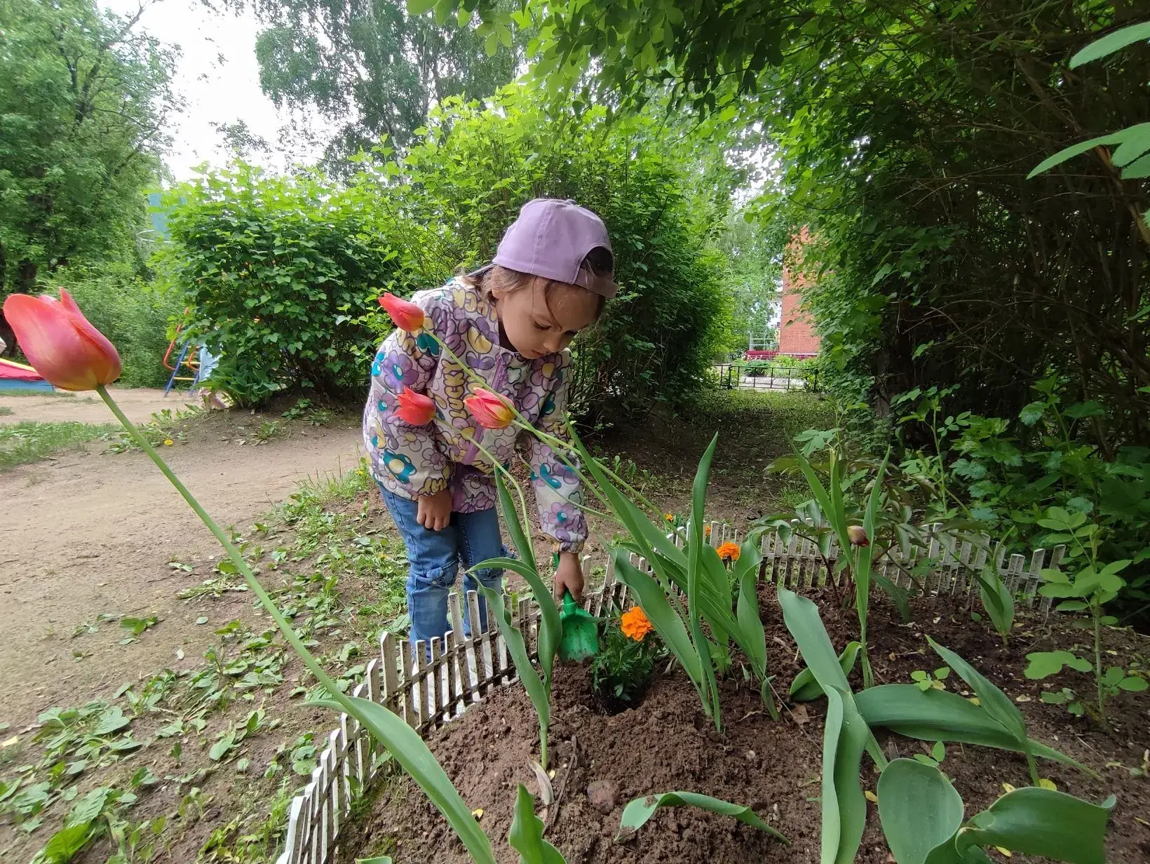 «Цветы жизни сажают цветы»