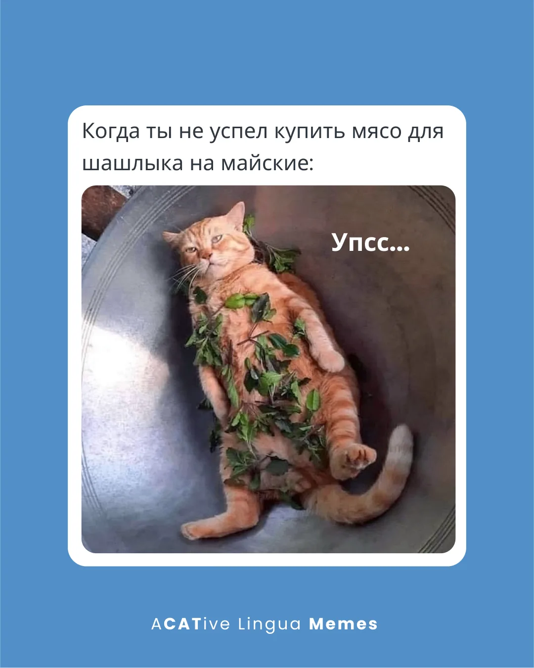 Лагерь — это место, где: