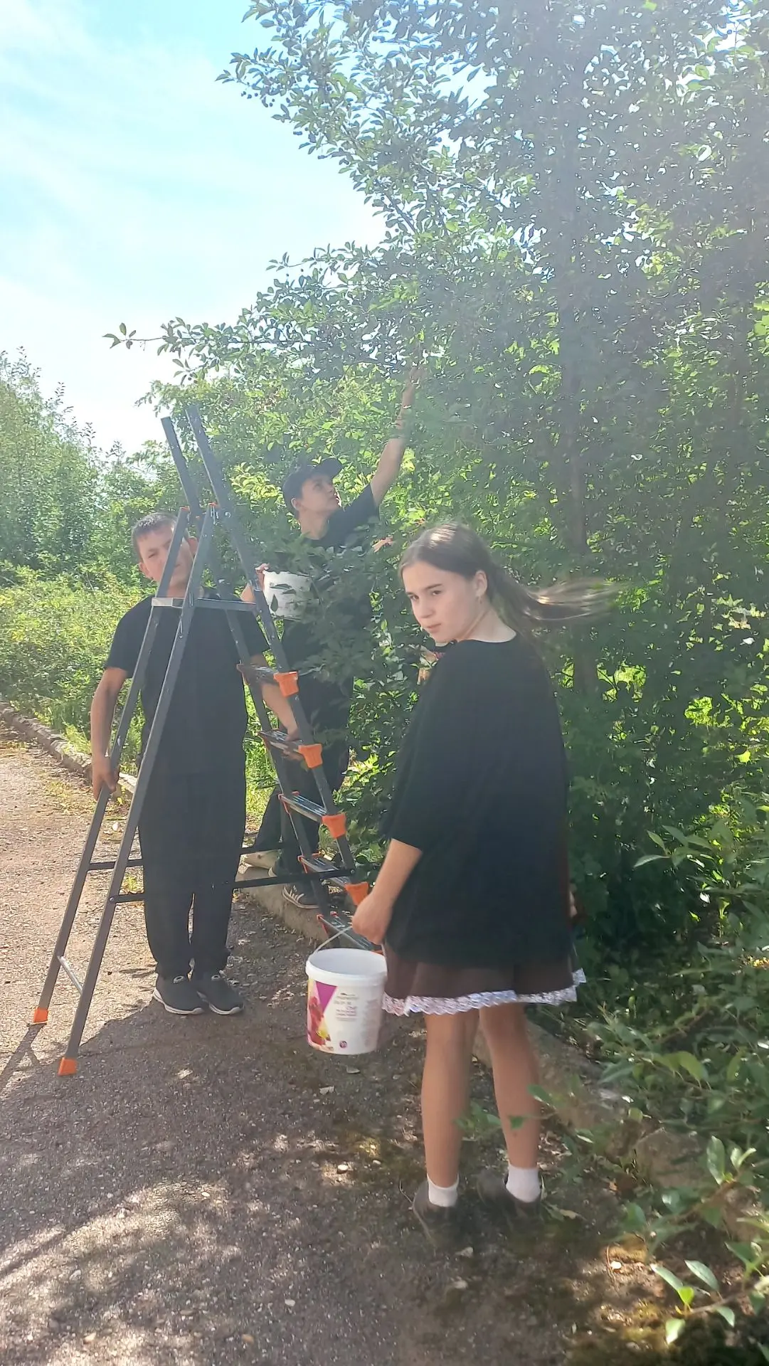 Балаларның  практика көннәре гөрли каникулда.Мәктәп бакчасында кура җиләге,чияләр өлгергән. Эшлибез 