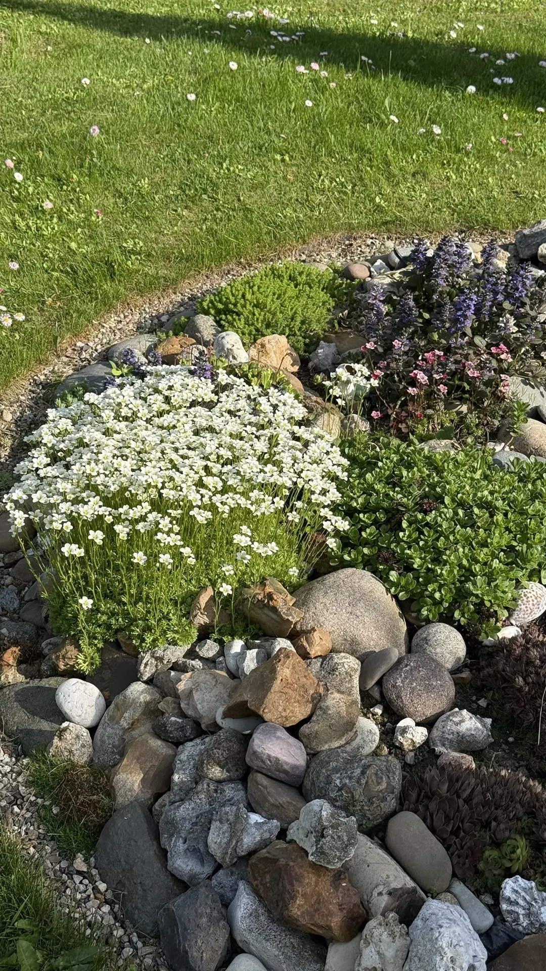 Потрясающая свежая поставка ждёт в BLOOM DACHA🍒🌼