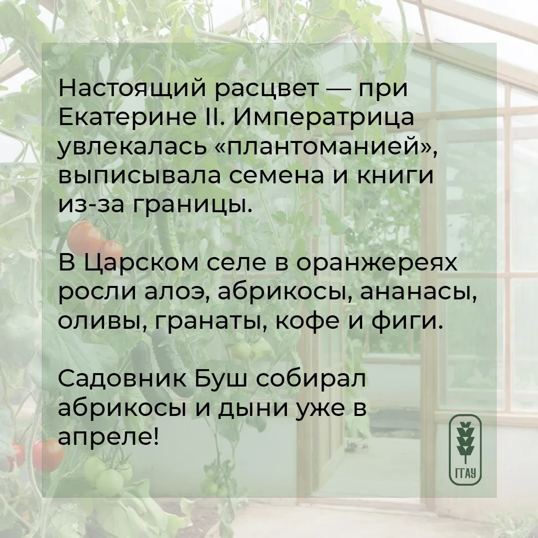 😉 Для одних понедельник – день тяжелый, а мы его сделаем – полезным и интересным. И расскажем о… пол