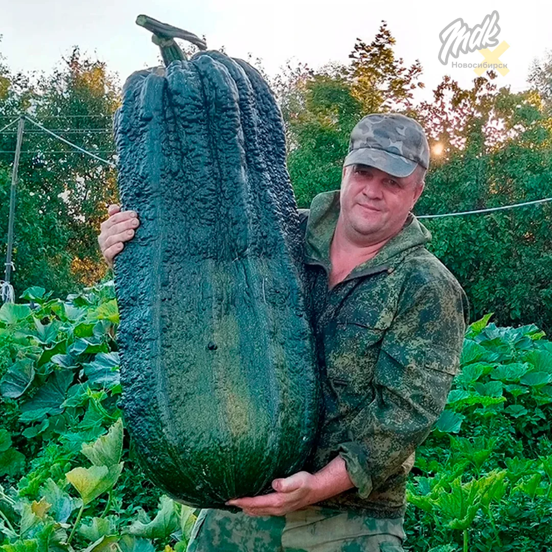 🍅 В «Берёзовой роще» пройдёт выставка томатов, перцев и овощей-гигантов