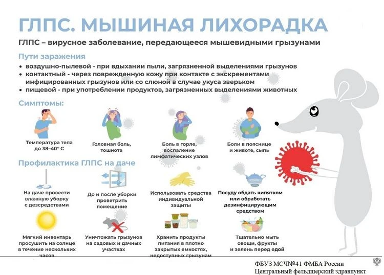⚠ Геморрагическая лихорадка с почечным синдромом (ГЛПС) – тяжелое, смертельно опасное инфекционное з