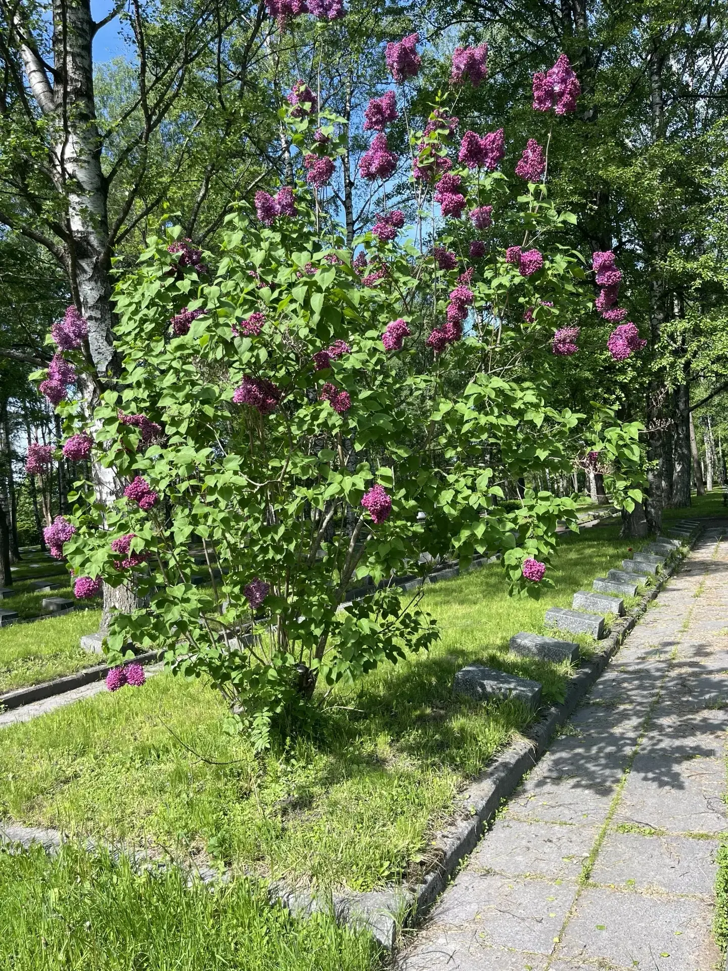 #фотодня