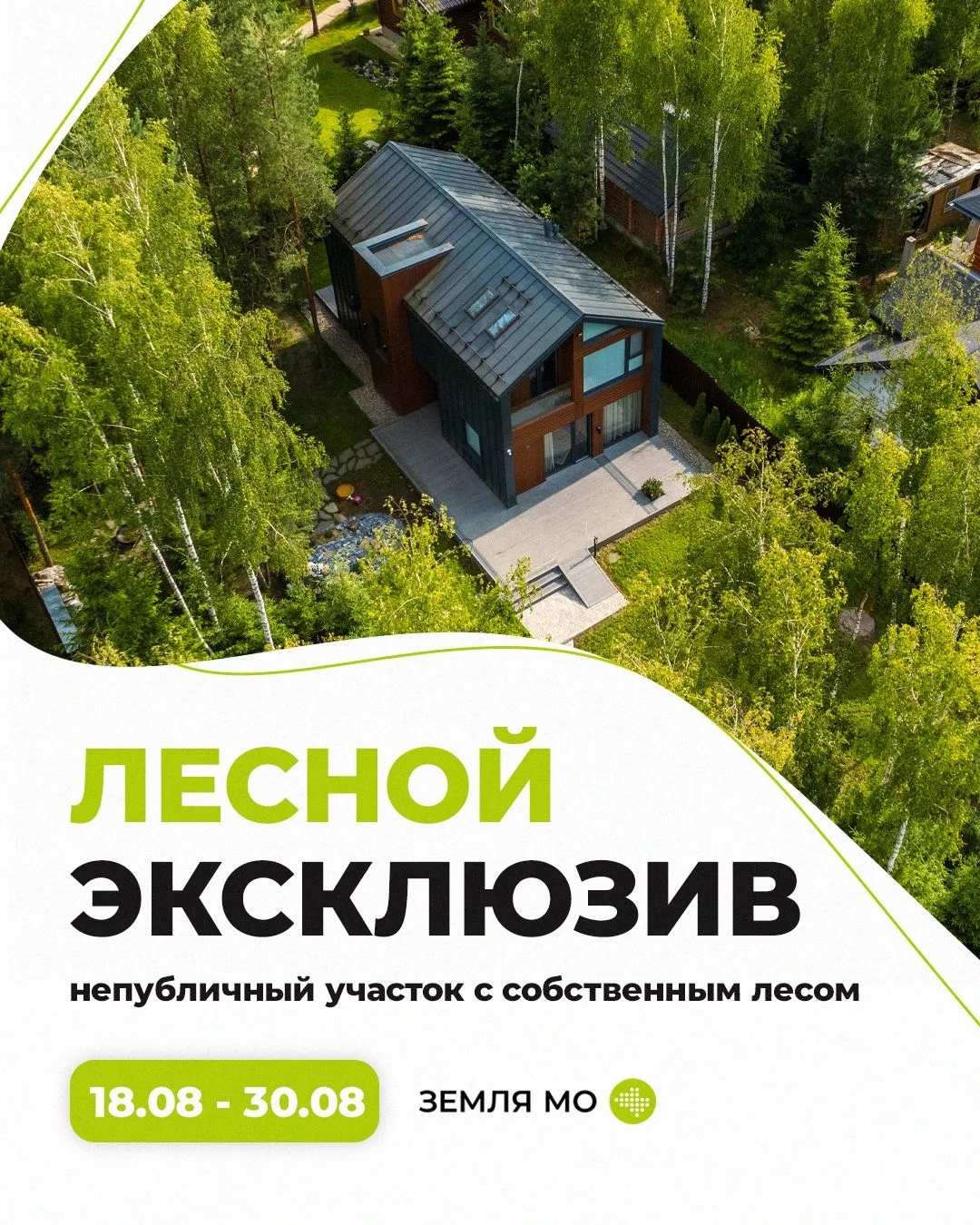 ЛЕСНОЙ ЭКСКЛЮЗИВ 🌲