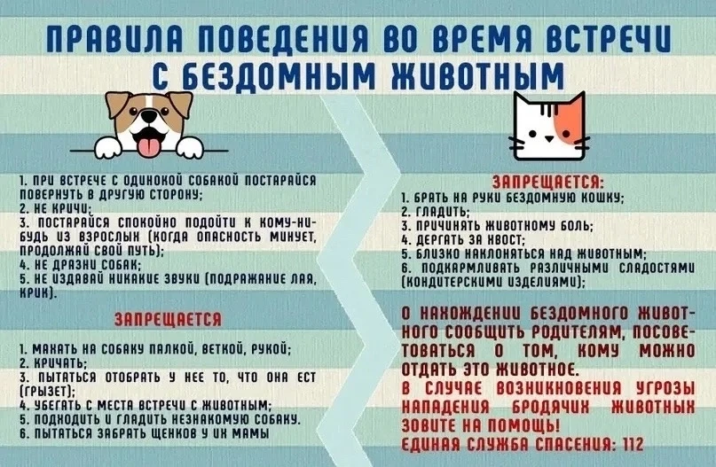 БЕЗОПАСНОЕ ЛЕТО