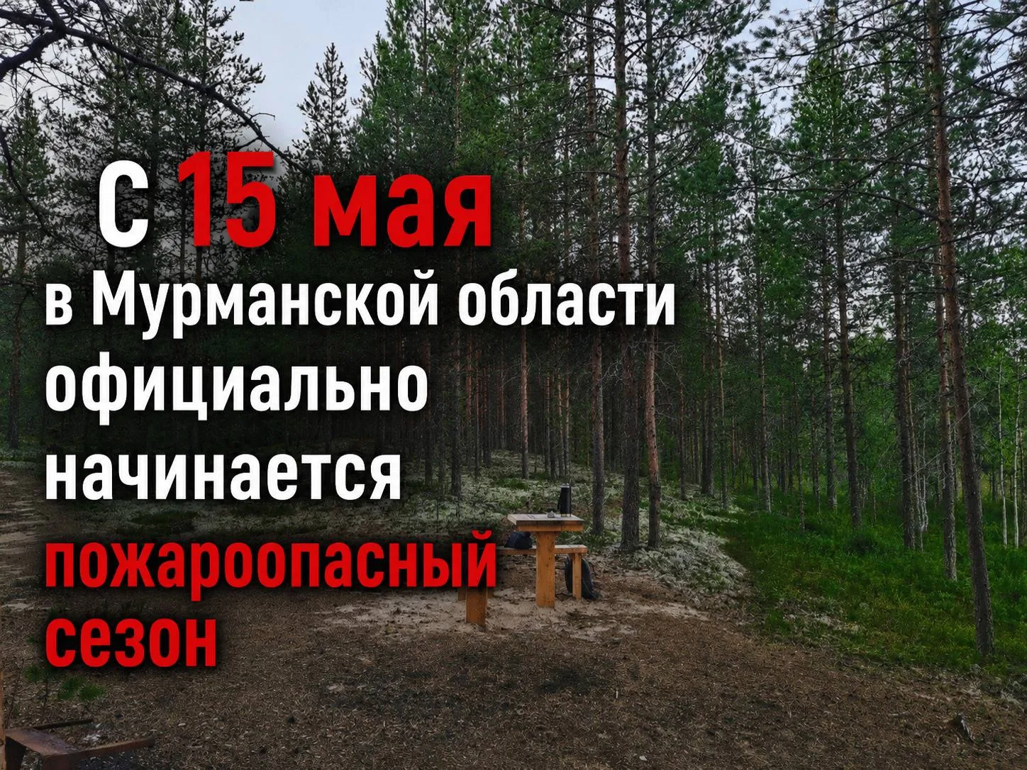 🔥 С 15 мая в Мурманской области официально начинается пожароопасный сезон  Об этом сообщил губернато