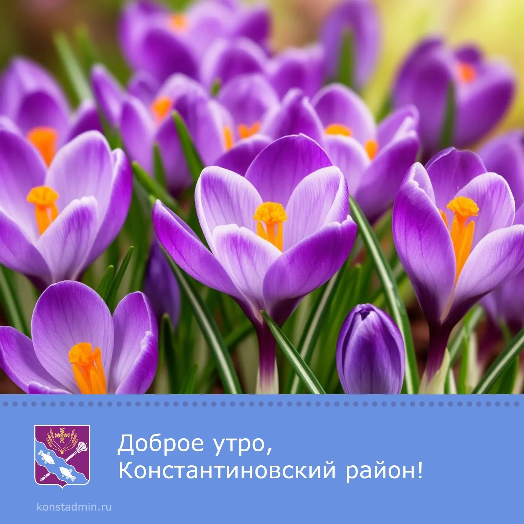 Доброе утро, уважаемые жители Константиновского района!☀️  Отличного настроения. Пусть сегодня целый