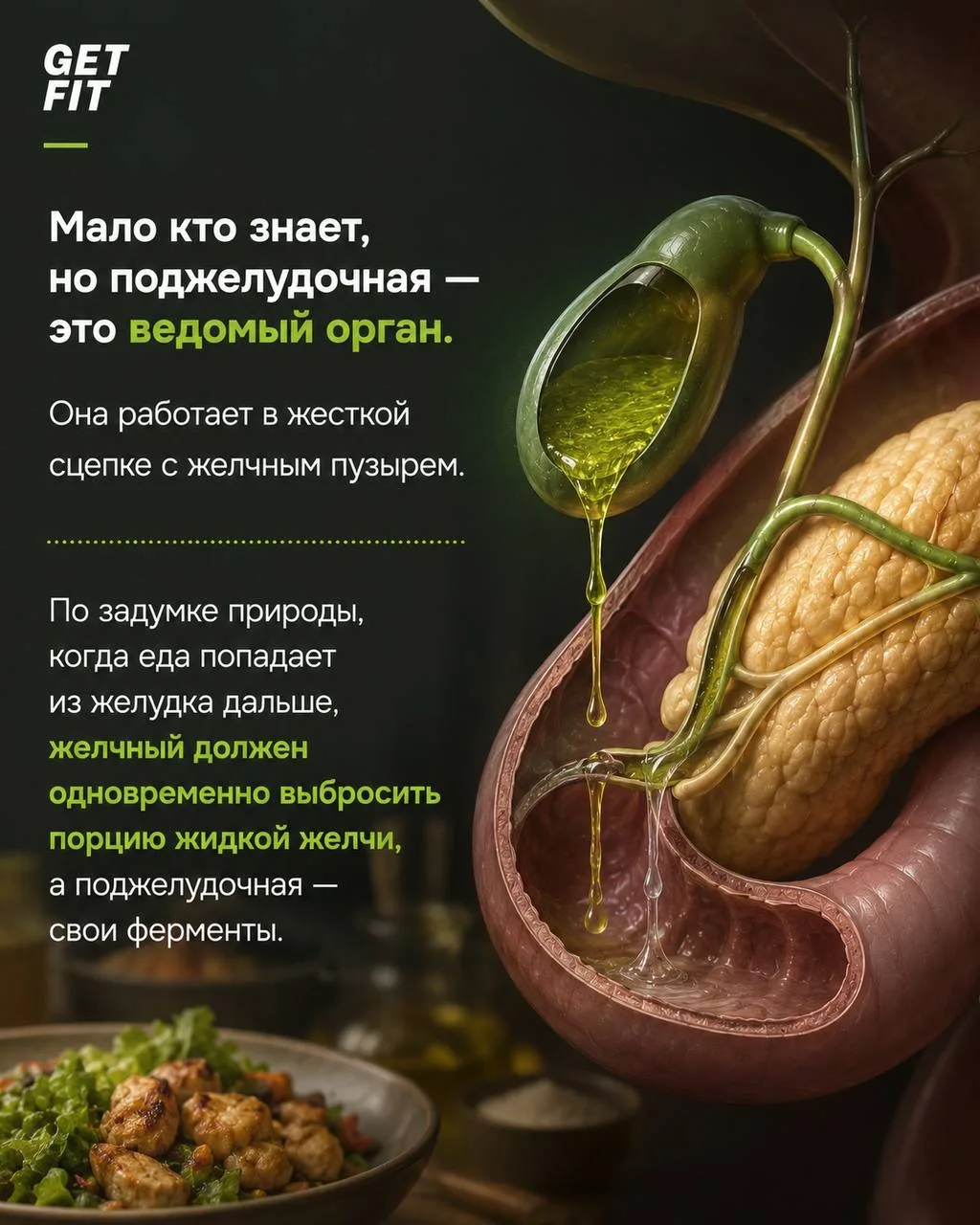 🔴Как рождается хронический панкреатит и почему отключается поджелудочная?  Подробный разбор того, ка