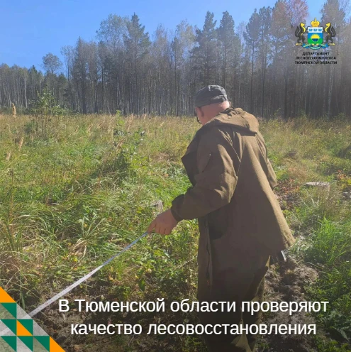 🌲 Пока лесоводы заняты осенними посадками, идёт и другая важная работа — инвентаризаци...